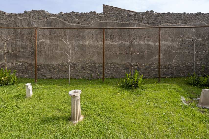 Interior garden of the House of the Ephebe in Pompeii with remains of columns and plants